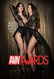 最佳性爱:2017 AVN大奖