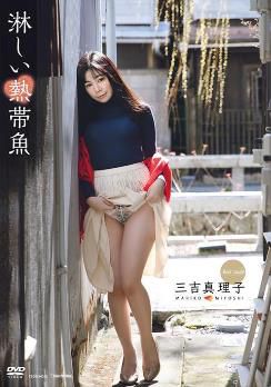 孤独的热带鱼