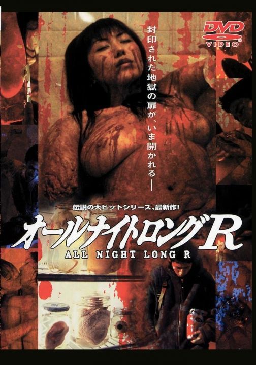 风骚俏佳人R