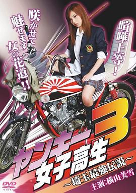 ヤンキー女子高生3~埼玉最強伝説~