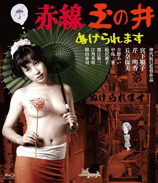 乐之街 赤線玉の井 ぬけられます
