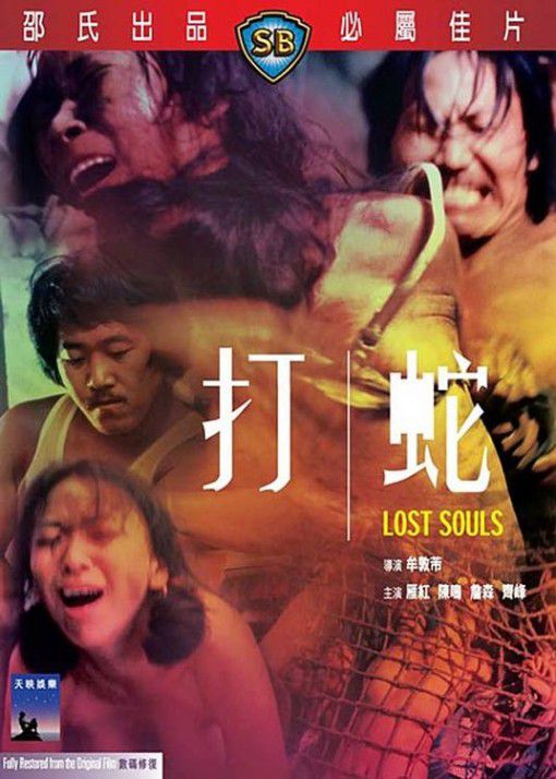 打蛇 Lost Souls