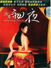 初夜洞房档案