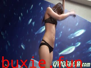 动感小站 2009.11.21  No.057 貓咪