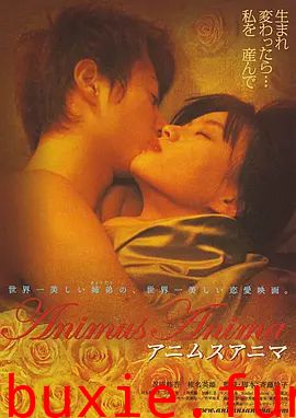 阿尼姆斯阿尼玛