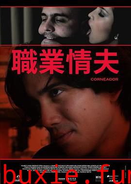 职业情夫