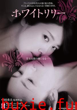 白百合禁断之百合