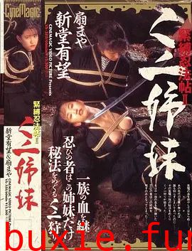 女忍者姐妹