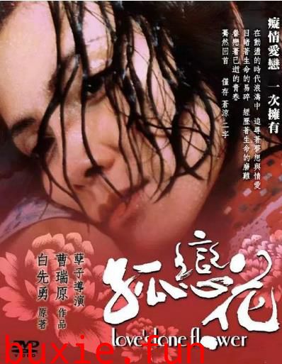 孤恋花/青春蝴蝶孤恋花