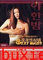 夜夜性奴娇