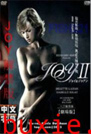 法国作家joy