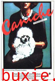 卷毛狗/caniche