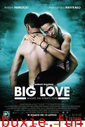 大爱/Big Love