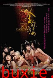 2008新金瓶梅国语