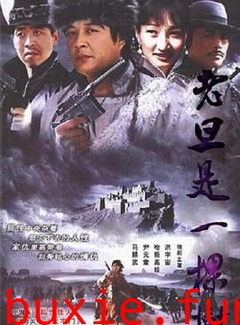 老旦是一棵树